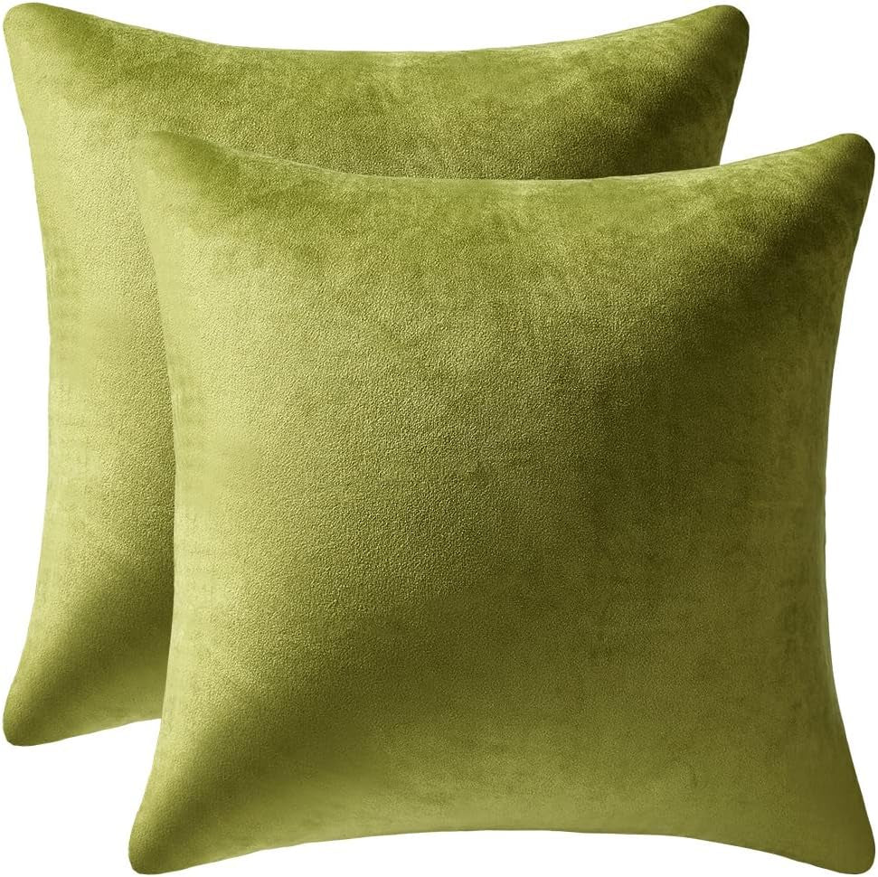 Throw Pillow Covers 22X22 Chartreuse: Pack of 2 Cozy Soft Velvet Square Modern Luxury Decorative Throw Pillow Cases for Sofa Couch Living Room Bed Home Decor